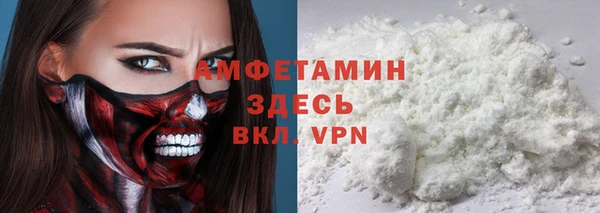 мдпв Дмитриев