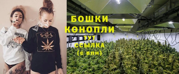 бутират Гусь-Хрустальный