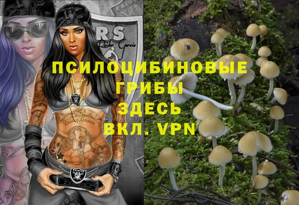 первитин Гусев