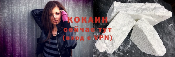тгк Дмитров